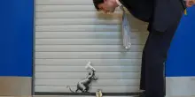 Banksy, l&rsquo;installazione &ldquo;Keep Ou T&rdquo; va all&rsquo;asta: le foto