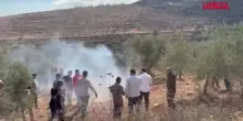 Cisgiordania, soldati israeliani impediscono agli agricoltori di raccogliere le olive
