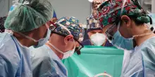 Trapianti di cuore, 24 ore da record al Policlinico di Bari