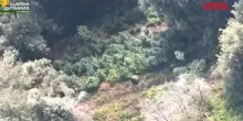 La Finanza sequestra 19 piantagioni di cannabis in Calabria