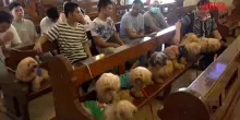Filippine, a Manila la benedizione degli animali per la festa di San Francesco