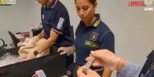 Linate, sequestrati 15 orologi di lusso e 325 carte da collezione