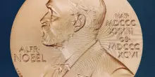 Nobel Medicina, la luce che controlla i neuroni rivoluziona le neuroscienze