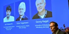 Nobel per la Medicina 2026 a Karl Deisseroth, Peter Hegemann e Georg Nagel