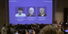 Nobel per la Medicina 2026, i profili dei tre scienziati