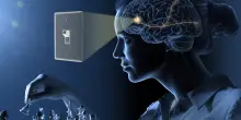 L&rsquo;alga da Nobel e l&rsquo;optogenetica per battere Alzheimer e ansia