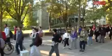 Usa, proteste alla Cornell University in risposta a presunto stupro studentessa