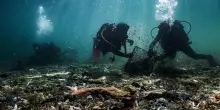 Tutela del mare, la Fondazione Donat Cattin lancia un&rsquo;iniziativa nelle scuole