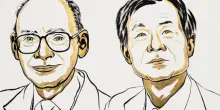 Nobel per la Chimica 2026 a Henri B. Kagan e Kenso Soai