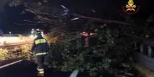 Allerta meteo Roma, nubifragio nella notte: 120 interventi dei Vigili del Fuoco