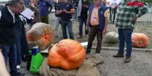 Francia, la festa autunnale delle zucche di Andr&eacute;zieux-Bouth&eacute;on: quella pi&ugrave; pesante vince