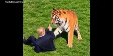 Donald Trump pubblica video AI in cui rincorre e atterra una tigre