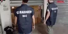 Trento: traffico anabolizzanti e droga con pagamenti in criptovalute, 16 indagati