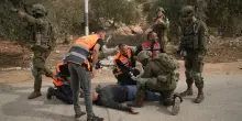 Cisgiordania, proseguono le violenze dei coloni israeliani: spari contro i palestinesi durante la raccolta delle olive