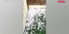 Usa, tempesta in Arizona: chicchi di grandine grossi come palle da golf