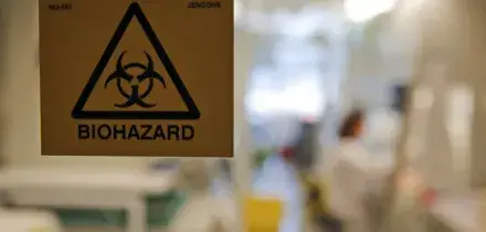 Virus Shamonda, che cos&rsquo;&egrave; la malattia che ha colpito il primo uomo in Francia