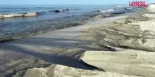 Emirati Arabi, fuoriuscita di petrolio invade le spiagge di Umm Al Quwain