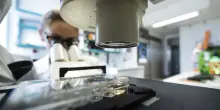 Tumore e rischi, se in Europa la differenza la fa anche il Paese in cui si vive