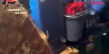 Reggio Calabria, droga, armi e animali detenuti illegalmente: un arresto