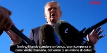 Usa, Trump: "Un milione di dollari a chi segnala frodi in voto midterm"