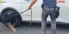 Catania, sequestrati 22 chili di cocaina: un arresto