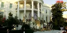 Usa, Donald Trump e Melania organizzano la festa di Halloween alla Casa Bianca