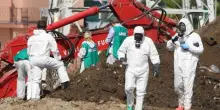 Rifiuti tossici usati realizzare prodotti green: 12 arresti tra Alto Adige ed Europa, indagati anche imprenditori, funzionari pubblici e politici