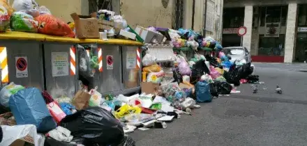 &ldquo;Il mio vicino arrogante ha iniziato la &lsquo;guerra dei bidoni&rsquo;. Continua a buttare la spazzatura da me, sono incaz**to e ora mi vendicher&ograve;&rdquo;: lo sfogo su Reddit