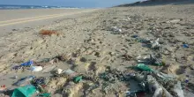 Come insegnare ai bambini a proteggere il mare dalla plastica? Ecco un libro per educare i più piccoli