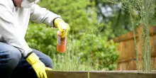 I pesticidi e l&rsquo;ipotesi di un rischio fino al 71% di sviluppare la Sla per chi &egrave; esposto, lo studio sui dati di otto paesi tra cui l&rsquo;Italia