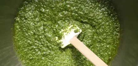 Qual &egrave; il miglior pesto del supermercato? La classifica di Altroconsumo: solo quelli di Lidl e Md &ldquo;accettabili&rdquo;, tutti gli altri bocciati
