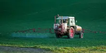 Glifosato, i consumatori non possono fare causa a Bayer: la Corte Suprema tutela il colosso, come voleva Trump