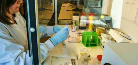 Sindrome di Rett, scoperta italiana sulla malattia che colpisce le bambine. Gli scienziati: &ldquo;Potrebbe facilitare nuove terapie&rdquo;