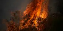 Incendi in Francia: in Gironda evacuati quattromila turisti. Nella regione di Bordeaux distribuite 3,5 milioni di mascherine