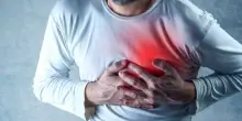 Il cuore infartuato può guarire da solo? Scoperta una terapia che ne riattiva la rigenerazione