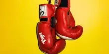 &ldquo;Fight club&rdquo; a scuola durante la ricreazione: incontro di boxe nel sottoscala, due studenti rischiano la bocciatura