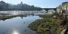 Come contrastare la mancanza d&rsquo;acqua in Piemonte? L&rsquo;ideona di Fratelli d&rsquo;Italia: svuotare i fiumi. Gli attivisti: &ldquo;&Egrave; incostituzionale&rdquo;