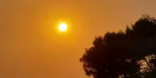 Caldo record in tutto il mondo: picco a Londra, allerta Parigi. 40 gradi in Vietnam