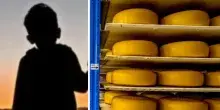 Mattia Maestri morto a 13 anni dopo 9 di coma per aver mangiato un formaggio a latte crudo