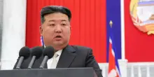 Carne di cane contro il caldo estremo in Corea del Nord: la scelta sostenuta da Kim Jong-un scatena nuove polemiche