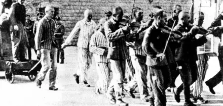 La cartolina scritta da un prigioniero in un lager nazista arriva alla famiglia dopo 82 anni: &ldquo;Il mio bisnonno torn&ograve; a casa, ma i suoi figli non lo riconobbero e scapparono impauriti&rdquo;