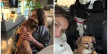 “Il mio cuore è a pezzi. Skyler ti ha portato lo stesso al guinzaglio anche se non c’eri”: il dolore di Elisabetta Canalis per la morte del cane Charlie