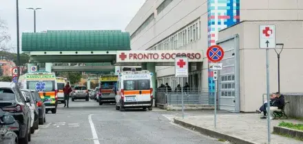 Emergenza caldo, la circolare del ministero della Salute: &ldquo;Priorit&agrave; ai malori da afa nei pronto soccorso. Per i concerti misure di prevenzione&rdquo;