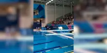 Arriva l’Olimpiade dei gatti, il video della gara di tuffi realizzata con l’intelligenza artificiale è virale
