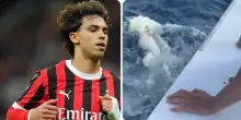 “Crudeltà verso gli animali”: Joao Felix nella bufera dopo i video con uno squalo martello
