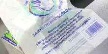 Antitrust multa Novamont-Eni per i sacchetti compostabili: “Accordi con i market hanno escluso altri produttori”