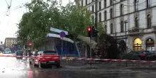 Nubifragio a Milano, grosso albero si abbatte su un chiosco in piazza Baiamonti. Il video
