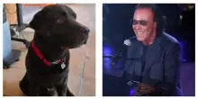 “Chok è volato in cielo, ma la mia anima è piena del suo amore… e del mio”: è morto il cane di Antonello Venditti