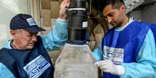 West Nile e caldo estremo, ricoveri per il virus delle zanzare in sei regioni. La prevenzione per evitare il numero di infezioni (e gli oltre 30 decessi) del 2025