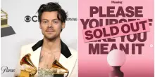 Ho la sensazione che la curiosità per i sex toys di Harry Styles si sgonfierà come un soufflé